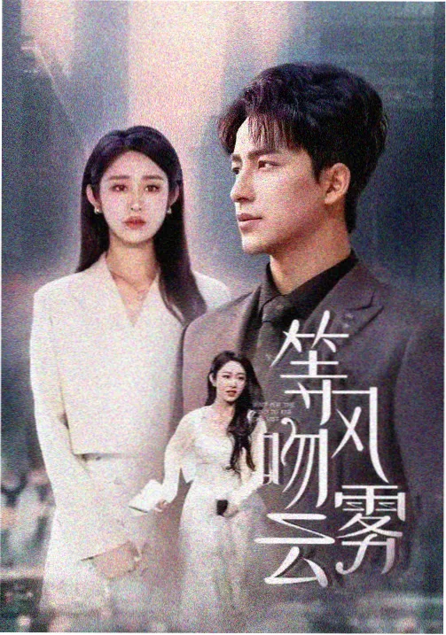 非分之罪 粤语港剧在线观看 2026